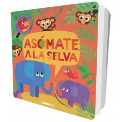 Asómate a la selva